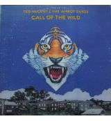 LP TED NUGENT & THE AMBOY DUKES  Call Of The Wind