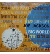 2 LP JOE JACKSON  Big World
