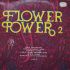 2 LP FLOWER POVER Rock Blues Compilation